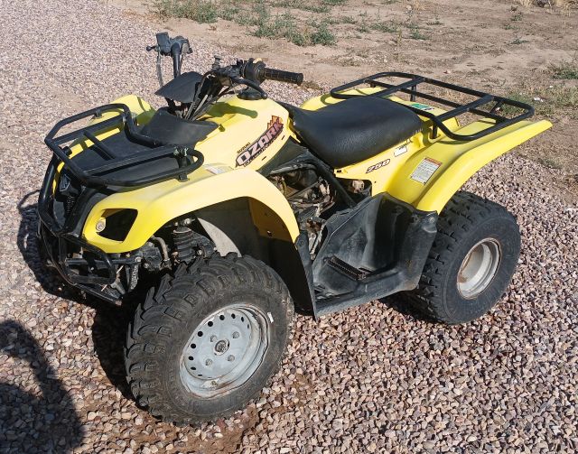 2002 SUZUKI OZARK 250 (1).jpg